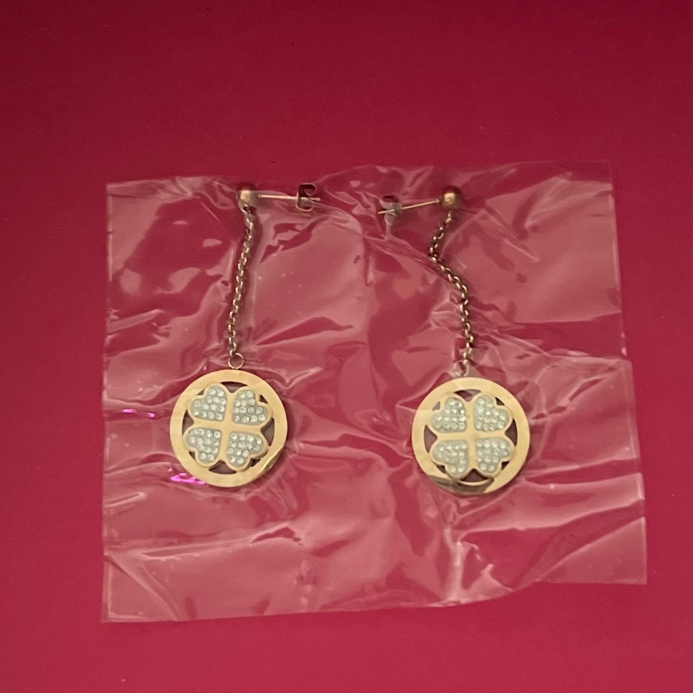 NWT Stainless Steel Rose Gold Dangle Earrings